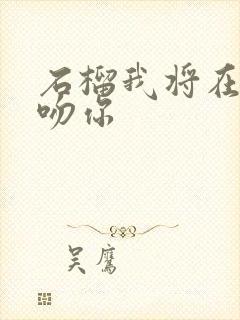 石榴我将在今夜吻你