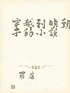 穿越到明朝当太子的小说