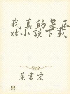 我真的是正派txt小说下载