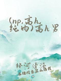 (np,高h,纯肉)高h男男