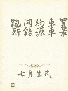 跑网约车买什么新能源车最合适