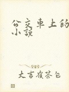 公交车上的乱欲小说
