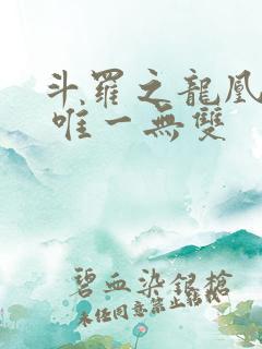 斗罗之龙凰传说 唯一无双