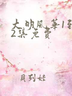 大明风华1到62集免费