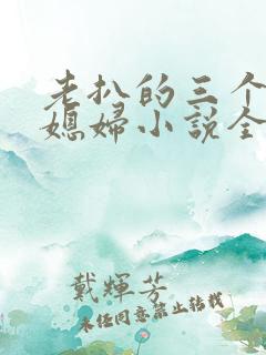 老扒的三个明星媳妇小说全文