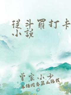 从斗罗打卡开始小说