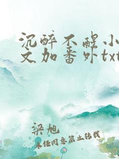 沉醉不醒小说全文加番外txt