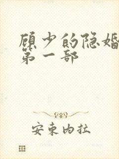 顾少的隐婚罪妻第一部