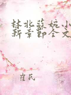 林北苏婉小说最新章节全文阅读