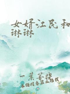 女婿江民和岳母琳琳