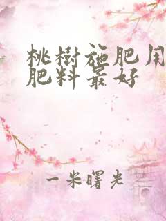桃树施肥用什么肥料最好