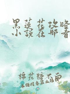 黑莲花攻略手册小说在哪看