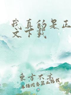 我真的是正派全文下载