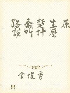 路乔楚生原著小说叫什么