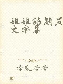 姐姐的朋友6中文字幕
