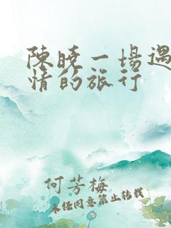 陈晓一场遇见爱情的旅行