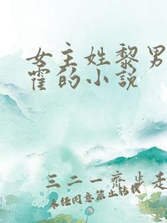 女主姓黎男主姓霍的小说