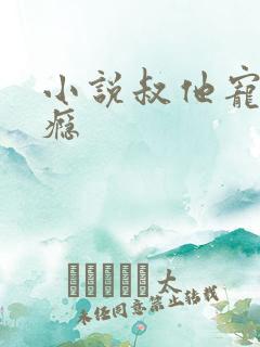 小说叔他宠妻上瘾