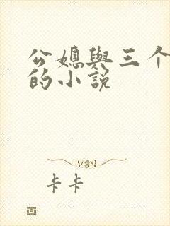 公媳与三个媳妇的小说