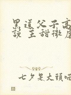 黑道父子高h小说 主甜微虐