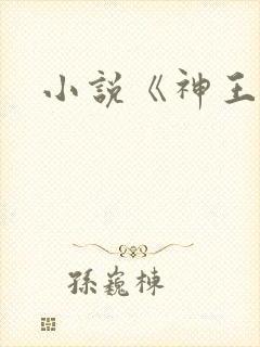 小说《神王令》
