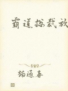 霸道总裁放肆爱