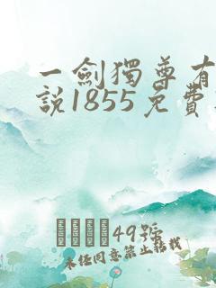 一剑独尊有声小说1855免费听