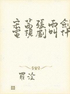宋茜张雨剑演的电视剧叫什么