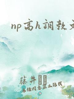 np高h调教文
