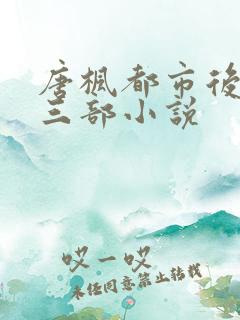 唐枫都市后宫第三部小说