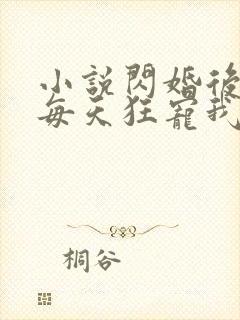 小说闪婚后大叔每天狂宠我完整版
