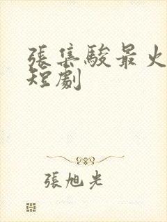张集骏最火十部短剧