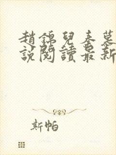 赵锦儿秦慕修小说阅读最新