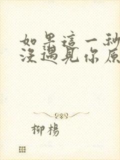 如果这一秒,我没遇见你原著小说