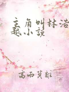 主角叫林浩的穿越小说