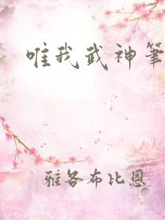 唯我武神笔趣阁
