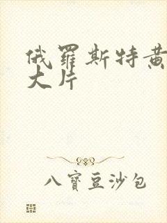 俄罗斯特黄一级大片