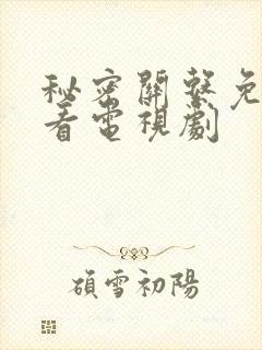 秘密关系免费观看电视剧