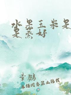 水果玉米是煮还是蒸好