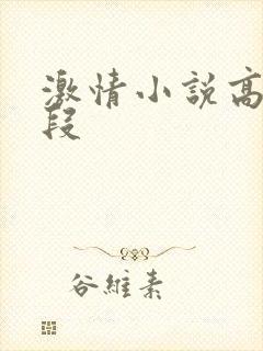 激情小说高潮片段
