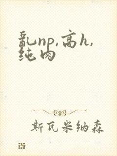 乱np,高h,纯肉