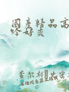 国产精品高潮呻吟好爽