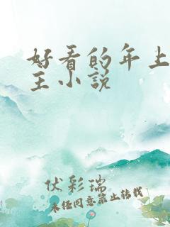 好看的年上双男主小说
