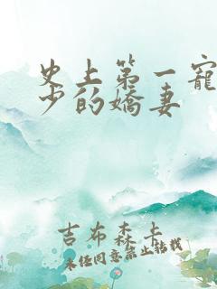 史上第一宠婚慕少的娇妻