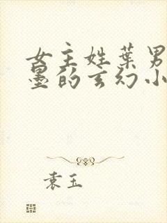 女主姓叶男主姓墨的玄幻小说