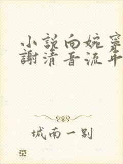 小说向婉宁顾辞谢清音流年落尽空白首在线