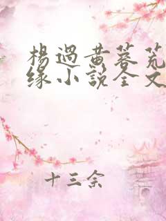 杨过黄蓉荒岛情缘小说全文