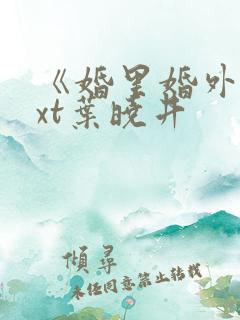 《婚里婚外》txt叶晓井