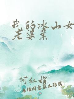 我的冰山女总裁老婆叶