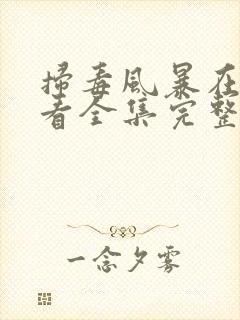 扫毒风暴在线观看全集完整版高清
